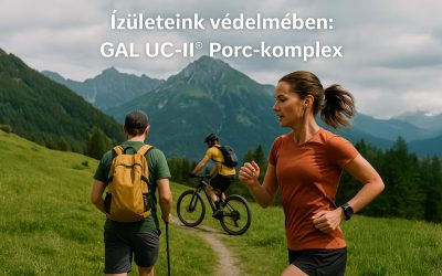 Ízületeink védelmében: GAL UC-II® Porc-komplex